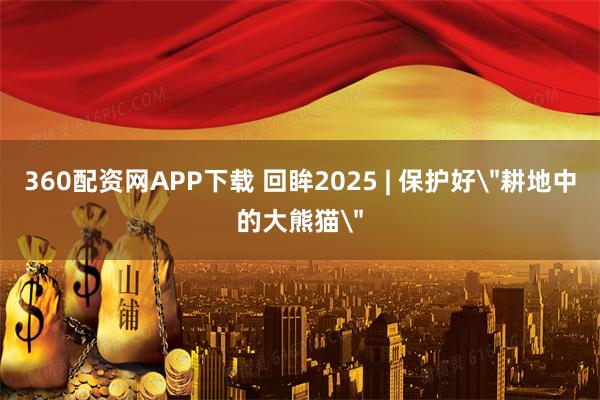 360配资网APP下载 回眸2025 | 保护好＂耕地中的大熊猫＂