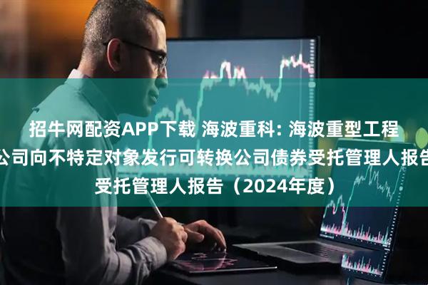 招牛网配资APP下载 海波重科: 海波重型工程科技股份有限公司向不特定对象发行可转换公司债券受托管理人报告（2024年度）