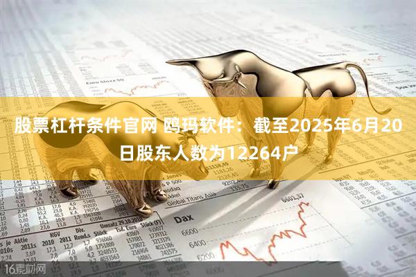 股票杠杆条件官网 鸥玛软件：截至2025年6月20日股东人数为12264户