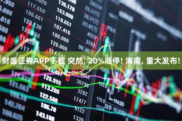 财盛证券APP下载 突然, 20%涨停! 海南, 重大发布!
